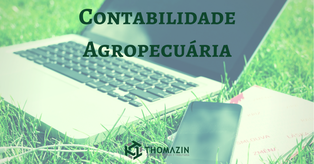 Como um escritório de contabilidade pode ajudar a empresa? Como um escritório de contabilidade pode ajudar a empresa?